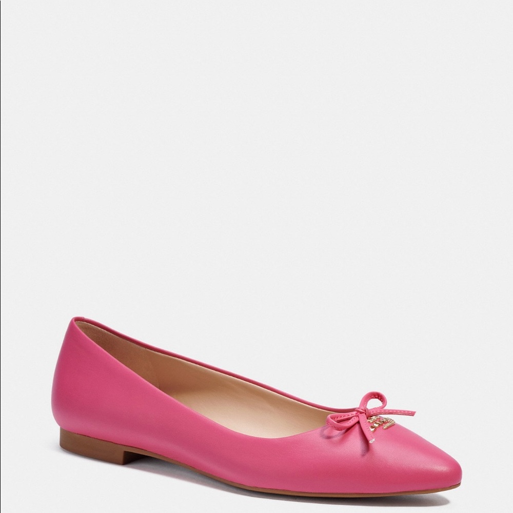 Coach shoes—NEVER WORN